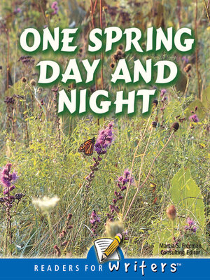 cover image of One Spring Day and Night